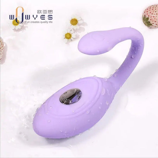 Vibrating Egg Vibrators For Women Wireless Remote Massager Delight