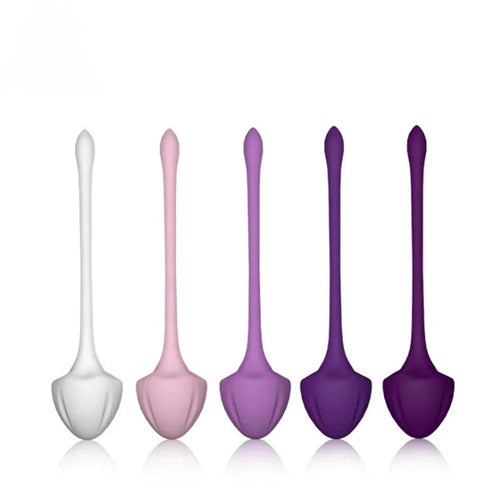 Ben Wa Ball Kegel Exercise Set for Women’s Pelvic Health Aid