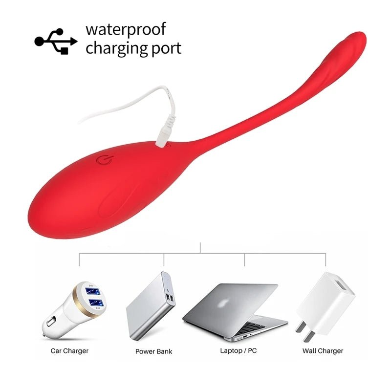 Kegel Vibrators G-Spot Clitoris Stimulator Silicone Wellness Toys