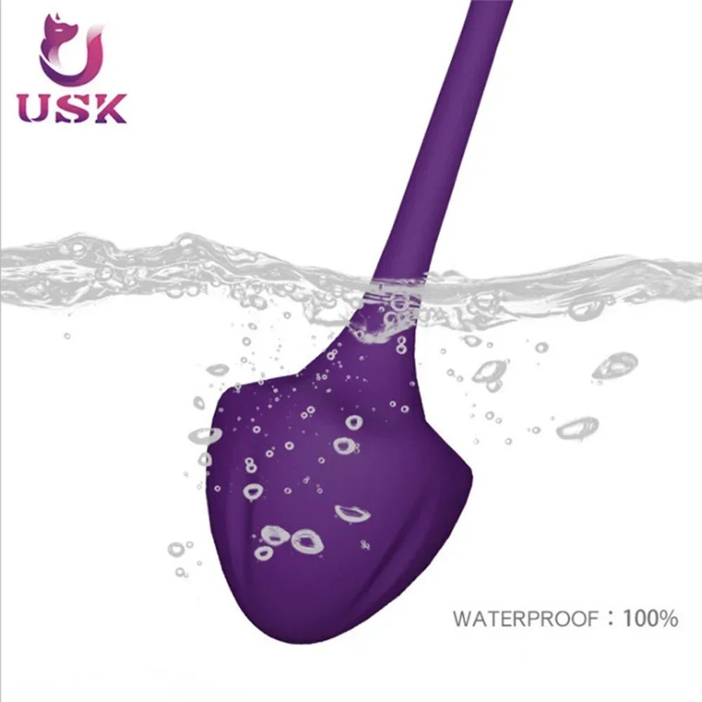 Ben Wa Ball Kegel Exercise Set for Women’s Pelvic Health Aid
