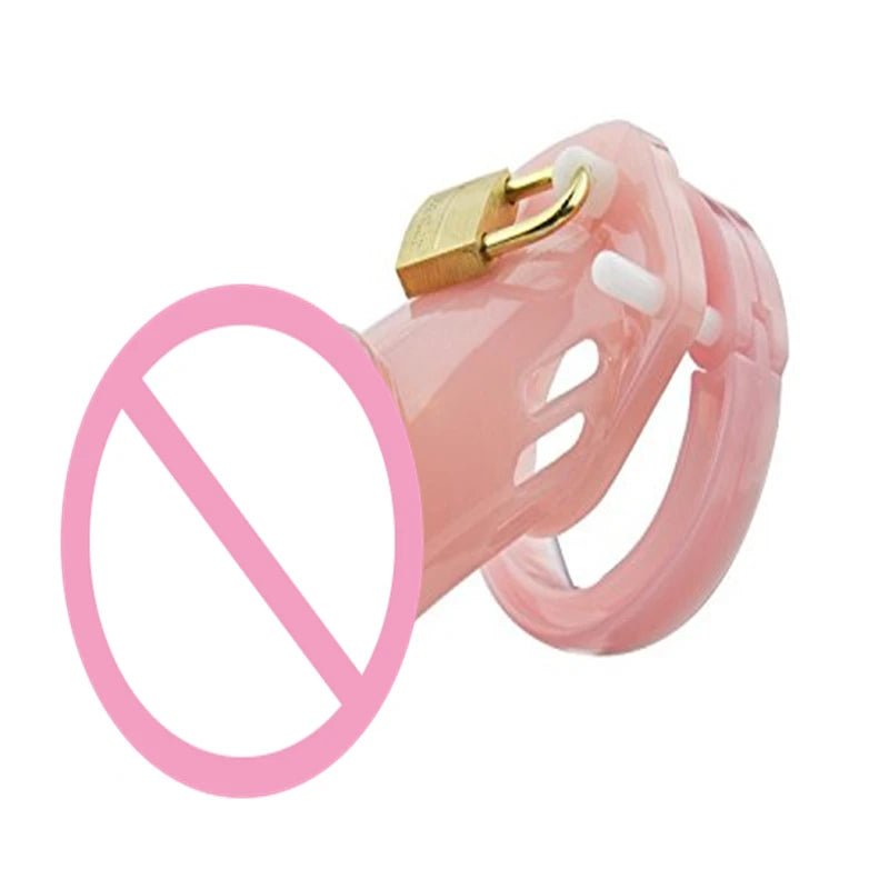 Chastity Devices Cage Locked Device for Men Pleasure Control