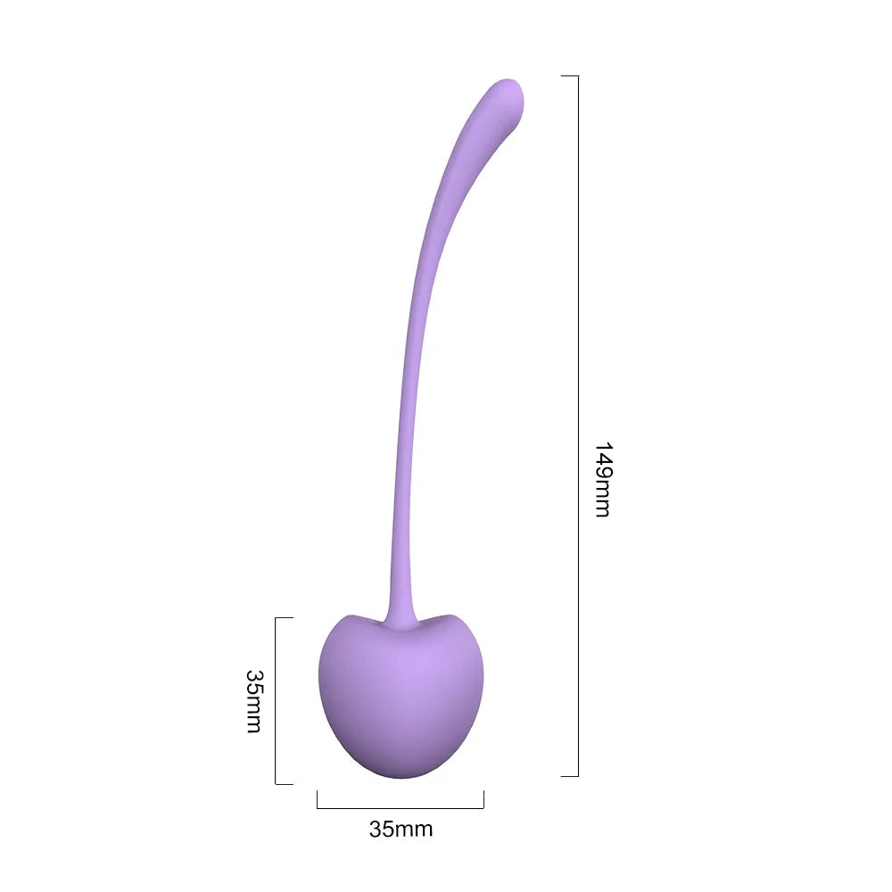 5pcs/Set Safe Silicone Kegel Exercise Balls for Wellness Use
