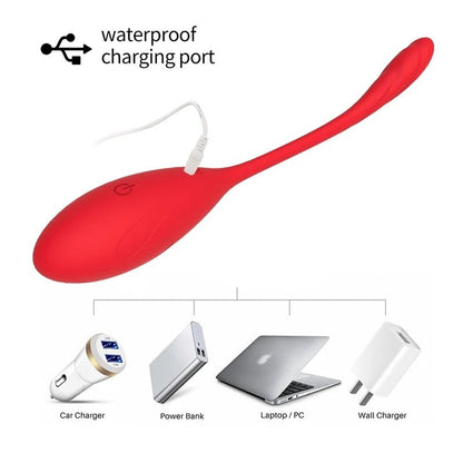 Kegel Vibrators G-Spot Clitoris Stimulator Silicone Wellness Toys